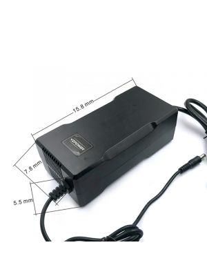 12S Lithium Battery Charger 44.4V- 50.4V 4A For Electric Toy 