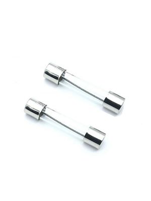 2PCS - 6X30MM Slow Melt Fuse - Time delay Insurance Tube Fuse - Suitable for Microwave Oven (10A 250V 6 x 30MM Slow Melt)